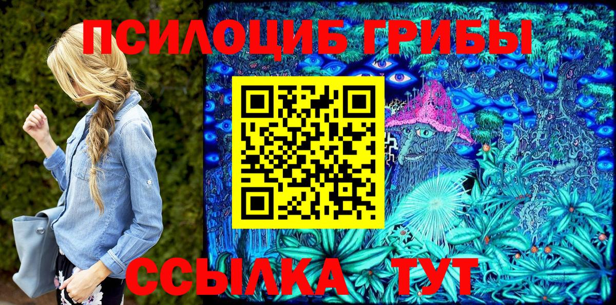Псилоцибиновые грибы Psilocybine cubensis Тулун