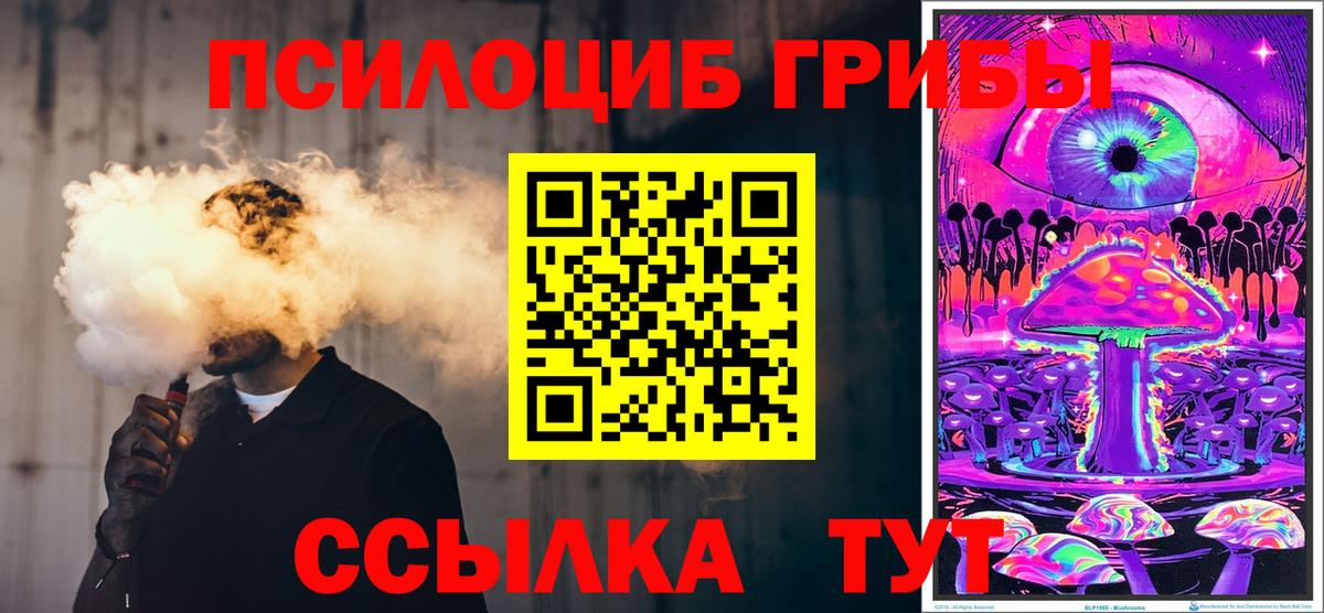 Галлюциногенные грибы Cubensis  Псилоцибиновые грибы Psilocybine cubensis  Тулун  Вход с VPN 
